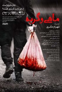 دانلود فیلم ماهی و گربه