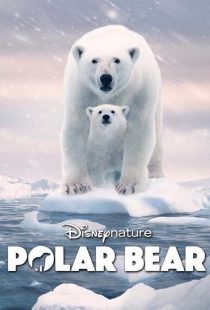 دانلود مستند خرس قطبی Polar Bear 2022
