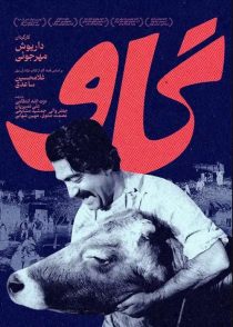 دانلود فیلم گاو