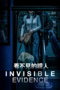 دانلود فیلم گواه نامرئی Invisible Evidence 2020